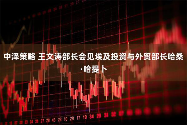 中泽策略 王文涛部长会见埃及投资与外贸部长哈桑·哈提卜