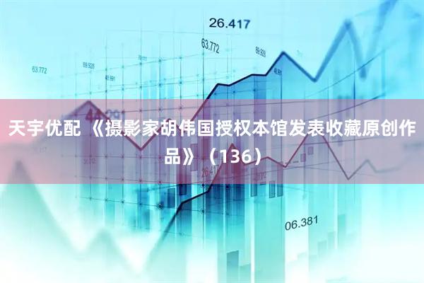 天宇优配 《摄影家胡伟国授权本馆发表收藏原创作品》（136）