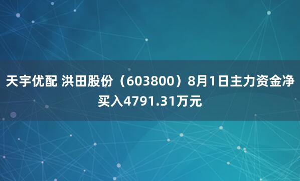 天宇优配 洪田股份（603800）8月1日主力资金净买入4791.31万元