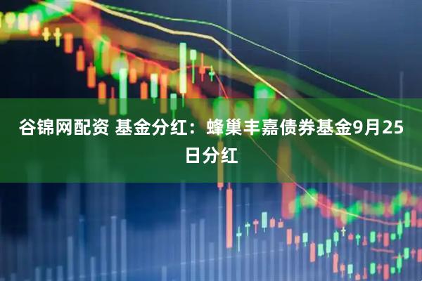 谷锦网配资 基金分红：蜂巢丰嘉债券基金9月25日分红