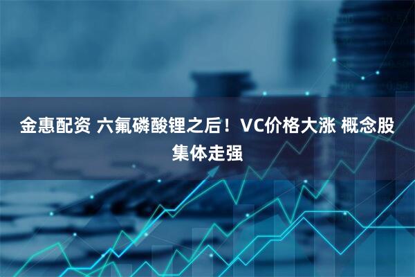 金惠配资 六氟磷酸锂之后！VC价格大涨 概念股集体走强